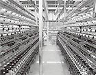 オリジナル糸製造工場（京都）